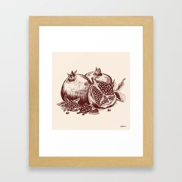 Pomegranate  Framed Art Print