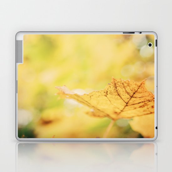 Gold Laptop & iPad Skin