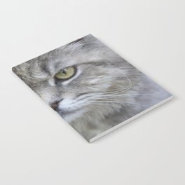 Stunning Grey Cat Pet Photo Portrait Notebook