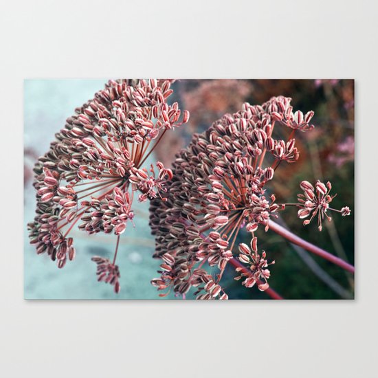 FLOWERHEAD - Botanical Garden Canvas Print