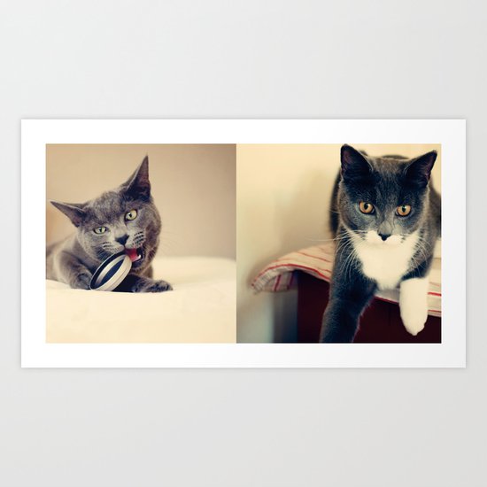 Cats Art Print