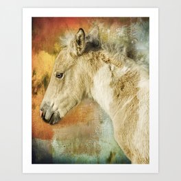 Portrait of a Filly Art Print | Horse, Assateaguehorse, Photo, Blue Eyed, Abstractbackground, Curlymane, Filly, Foal, Animal, Pony 
