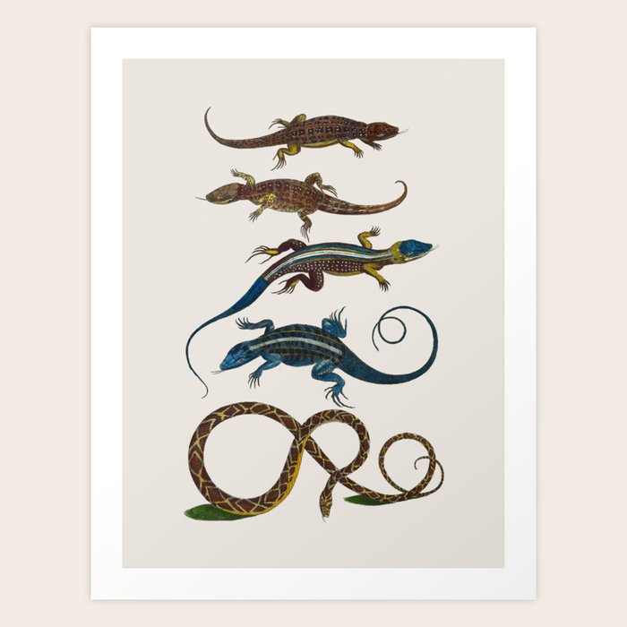 Art Print