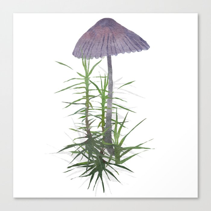 Mushrooms, Spurge. Canvas Print by zatmeniee