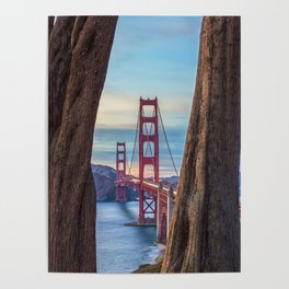 Golden Gate Between Cypresses  Poster