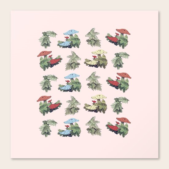 mushrooms Canvas Print