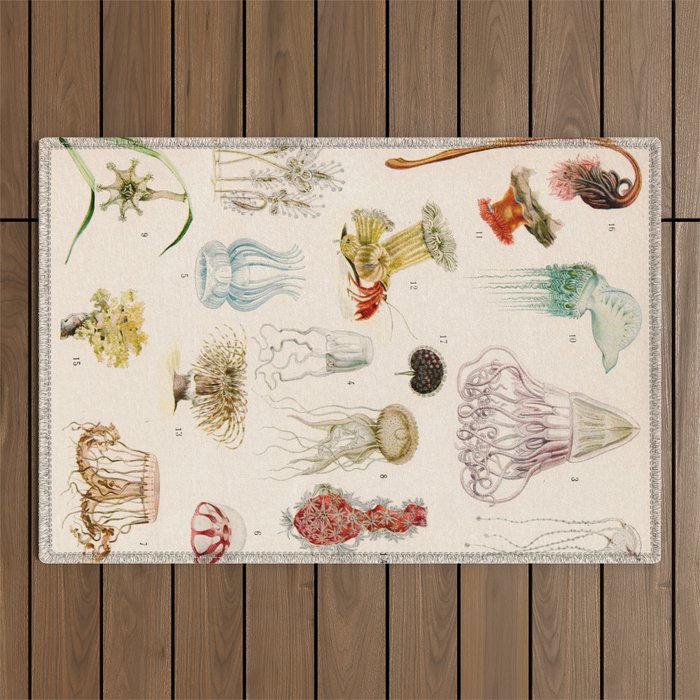 Adolphe Millot - Mollusques 02 - French vintage zoology illustration Outdoor Rug