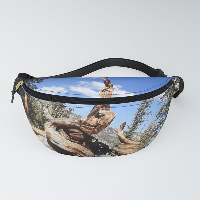 Oldest living things on earth Fanny Pack
