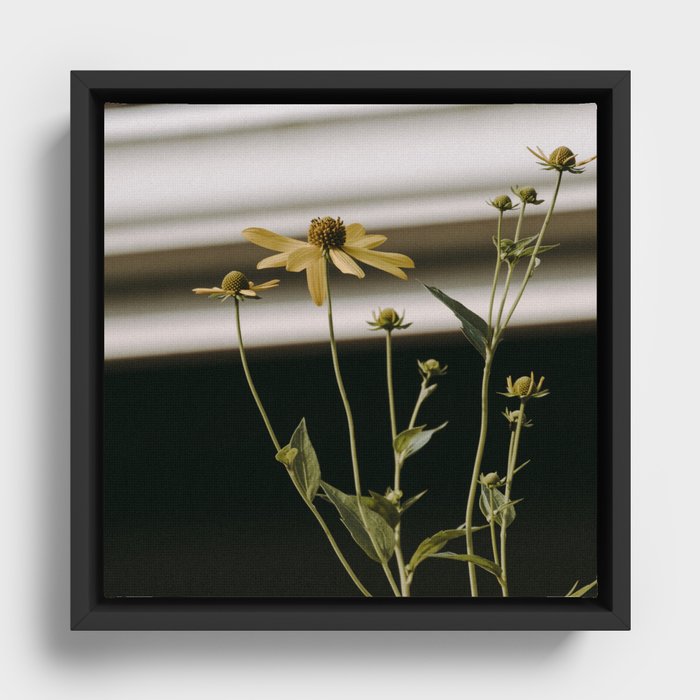 Vintage Flowers Framed Canvas