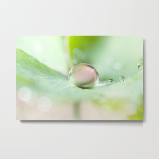 Soft Columbine Drops Metal Print