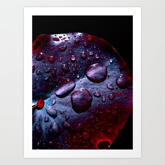 lily pad XIII Art Print