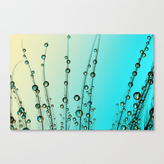 Feather Drops with Blue Canvas Print
