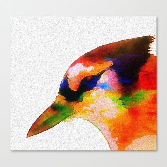 Jay Canvas Print