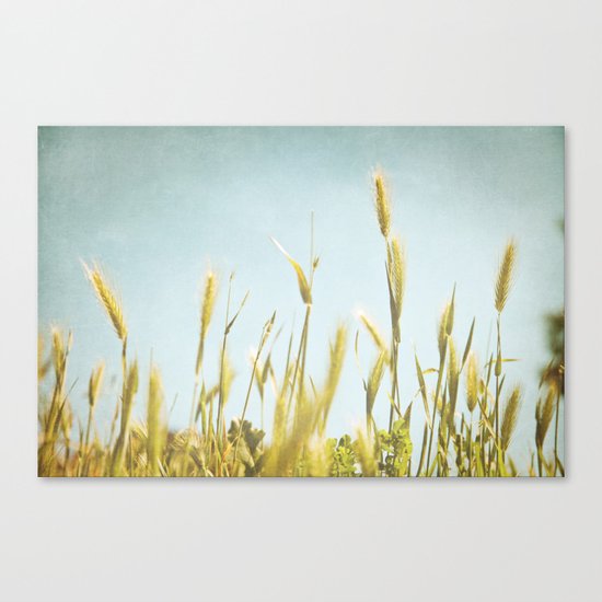 Hazy Lazy Skies Canvas Print