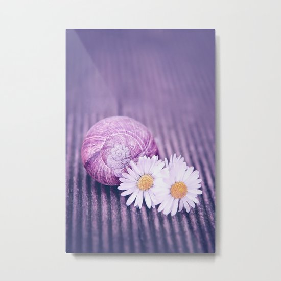 DAISIES Metal Print