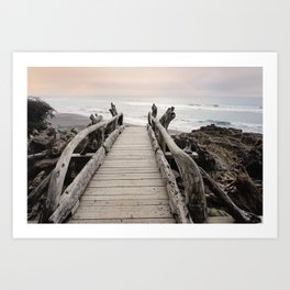 Bridge to the beach Art Print