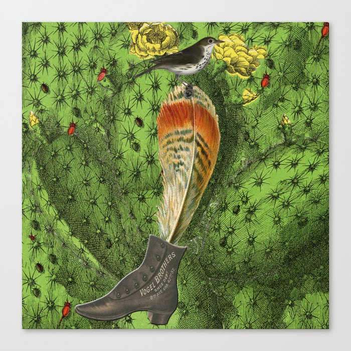 oiseau cactus plume Canvas Print