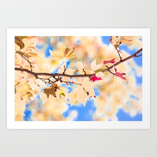 See the sky (Autum - Winter, leafs, pink, blue sky) Art Print