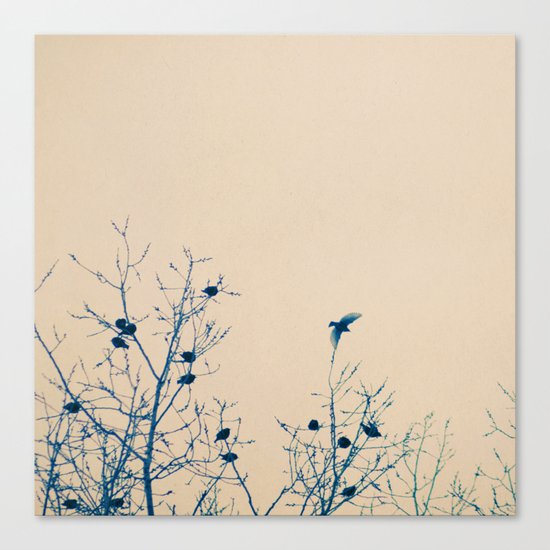 The One That Got Away Canvas Print