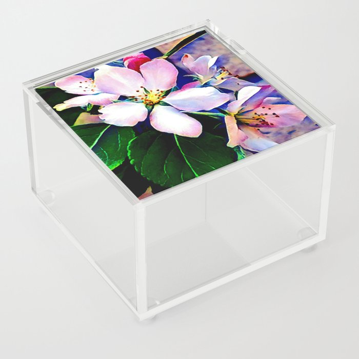 Apple Blossoms Acrylic Box