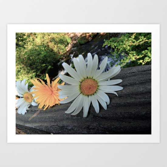 Washougal Art Print