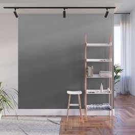 Grey And White Gradient Wall Mural