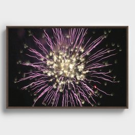 Fireworks on the 4th of July Framed Canvas