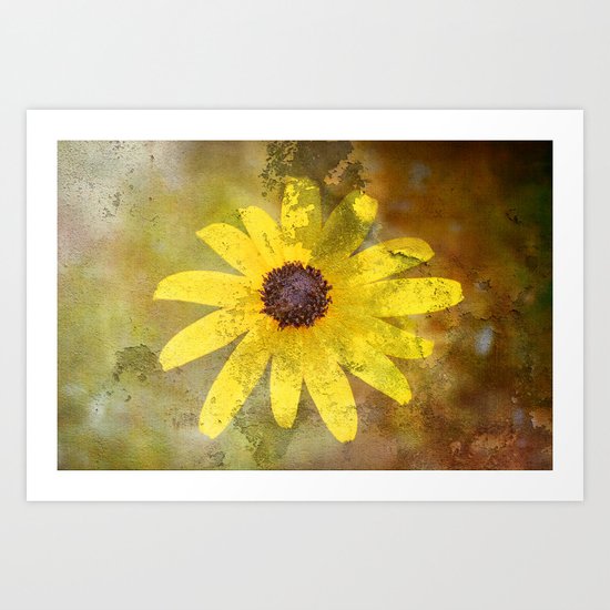 Yellow Daisy Art Print