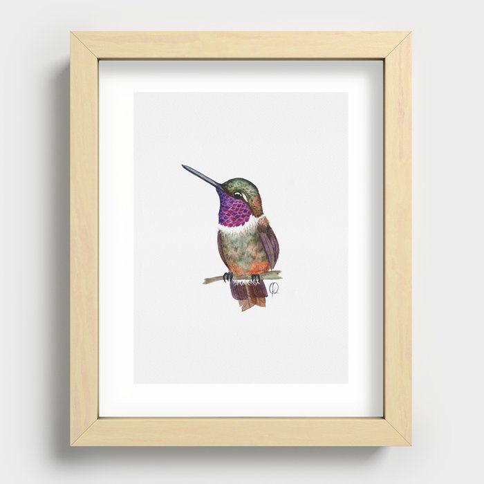 Cute Purple Hummingbird Recessed Framed Print