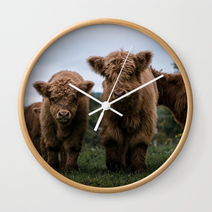 Scottish Highland Cattle Calves Babies Playing Ii Wall Clock By Regnumsaturni Society6