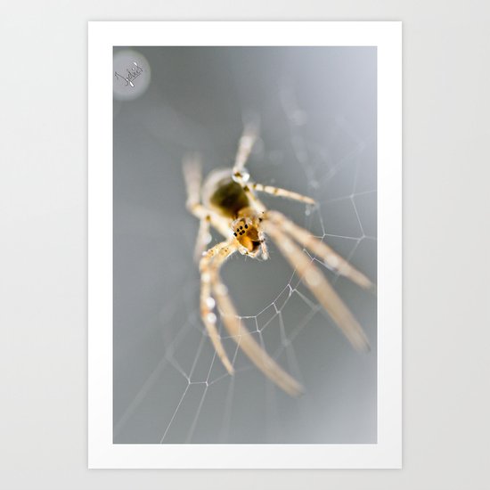 Little Spider Art Print