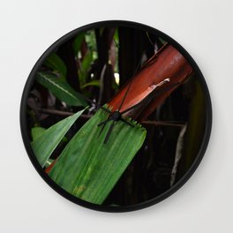 Leaf-Wrapped Bamboo in Tropical Forest: Fine Art Photo Wall Clock