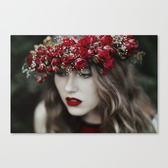 Red rose Canvas Print