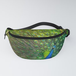 Against The Wind Fanny Pack
