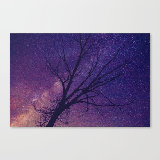 Under The Heavens Canvas Print