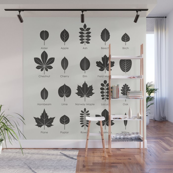 Identification Chart, Leaves of Trees and Shrubs – Iris Luckhaus