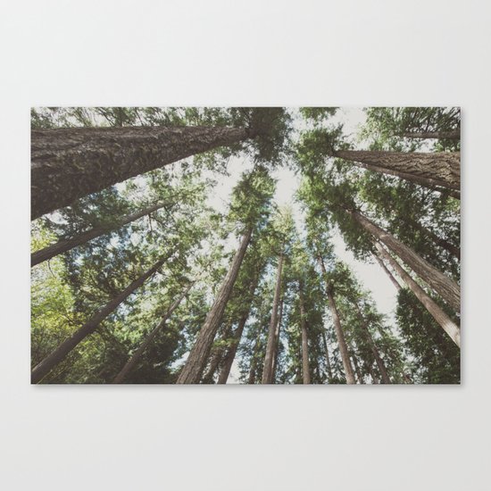 Higher Canvas Print