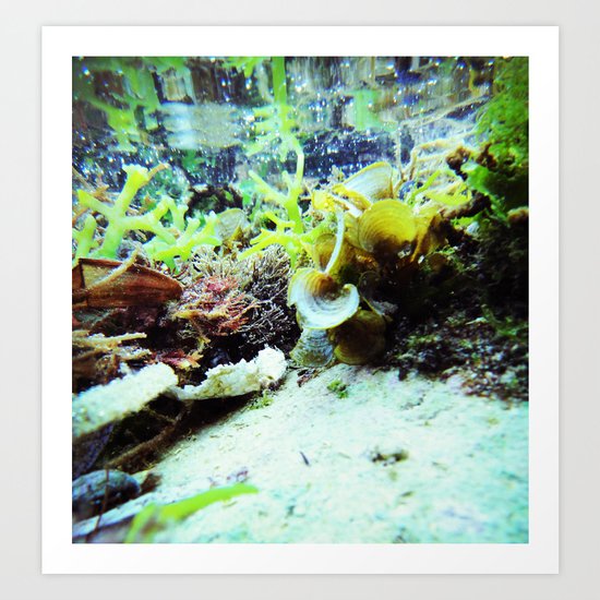 under the sea Art Print