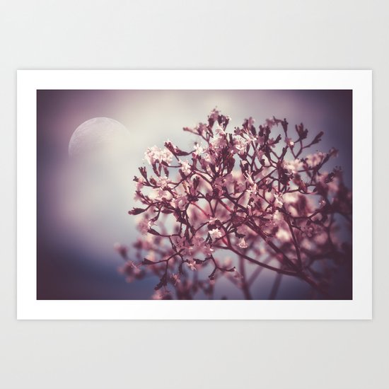 Tender Lights Art Print