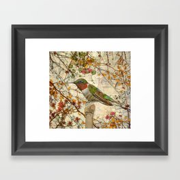Hummingbird And Wallflowers Framed Art Print