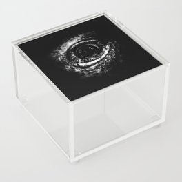 Lizard Eye Black and White Acrylic Box