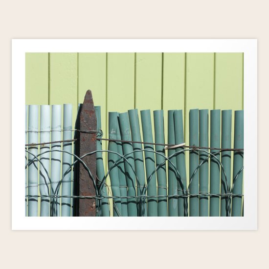Green Fence Art Print