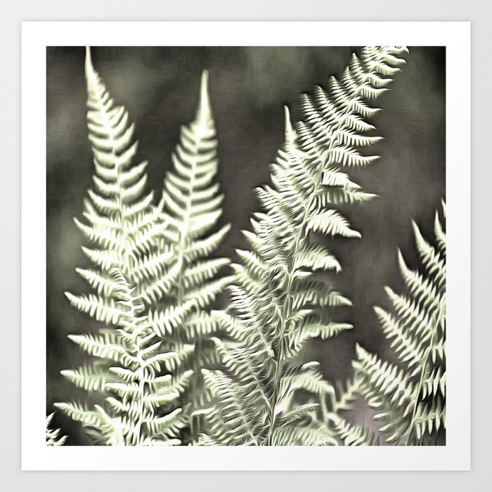 Fantasy Feather Like Fern Art Print
