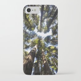 Giant Redwoods iPhone Case