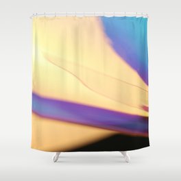 Let's move Shower Curtain