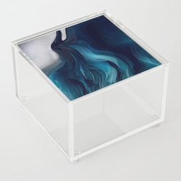 Blue swan Acrylic Box