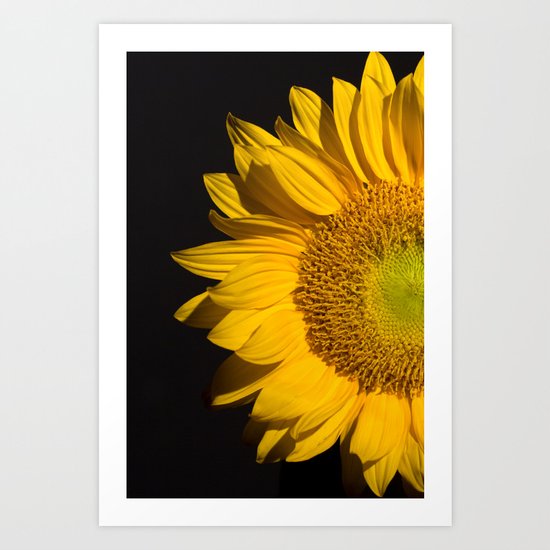 sunflower Art Print