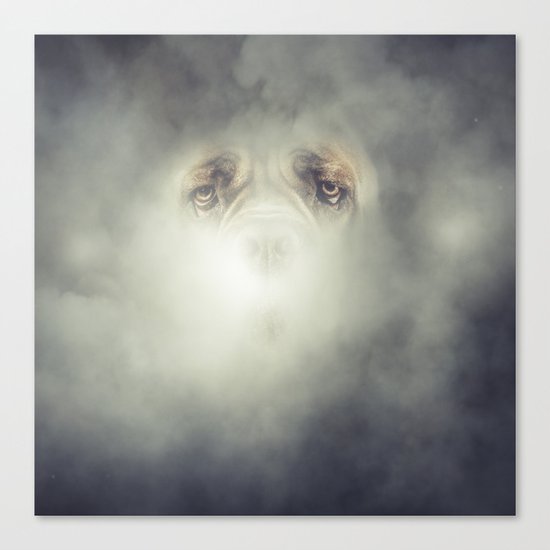 Dog Fog Canvas Print