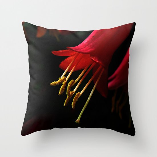 Crimson Honey Throw Pillow