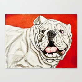 Uga the Bulldog Painting - Red Background Canvas Print